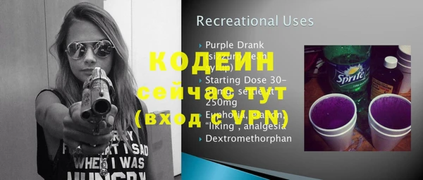 хмурый Нягань