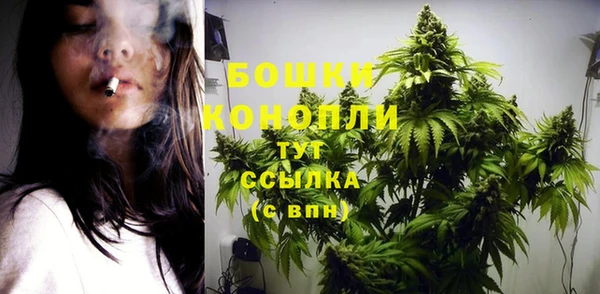 прущая мука Няндома