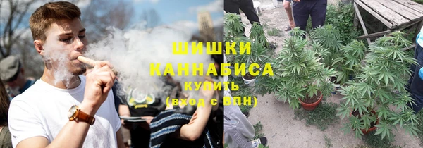 прущая мука Няндома