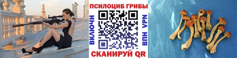 Галлюциногенные грибы Psilocybine cubensis  это телеграм  Приволжский 